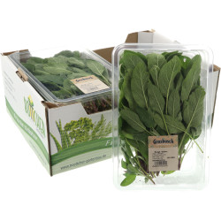 SAUGE GROSBUSCH 4X200G